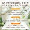 Diaborte Distortion Deep Pair Mask 6.3 oz (180 g)