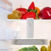 Refrigerator Wireless Digital Audible Alarm Thermometer With 2Pcs Sensor Min/Max Display