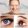 Natural Smudge-Proof and Waterproof Mascara for Extra Volume, Black, Stainproof