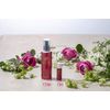 Rose Dobio ROSES DE BIO Aqua Cleansing Jelly, 5.1 fl oz (150 ml), 1 Piece