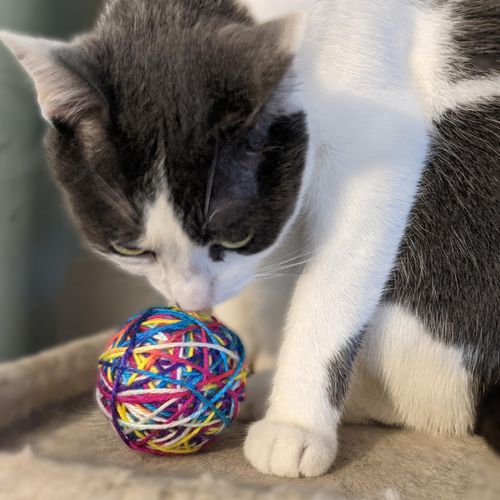 SPOT Ethical Products Sew Much Fun/Yarn Ball Cat Toy / 2.5" / 2Pack, Multicolor
