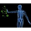 Antioxidant power - CANDIDA AWAY 1275MG  2B - candida eential oil