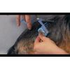 SCAREDY CUT Silent Pet Grooming Kit + Tiny Trim for gentle PETS, BLUE COMBO