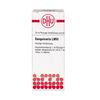 Sanguinaria LM VI DHU Dilution, 10 ml Lösung