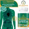 800MG Liposomal Luteolin Supplement - Maximum Absorption, Premium Antioxidant Su
