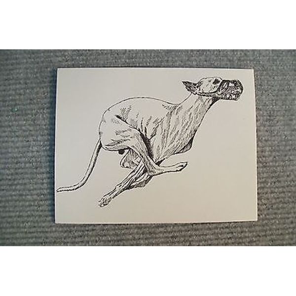 Whippet Pen and Ink Stationary Cards, Note Cards, Greeting Cards. 20 pack.