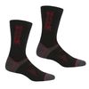 Adult's 2 Pair Wool Hiker Socks Black/Dark Red 9-12