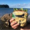 Honeywrap Beeswax Eco Wrap 1 Medium - Moana
