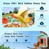 Smart Bird Feeder with 2K Camera AI Identify Bird Solar Panel APP Wi-Fi