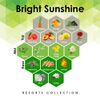 Bright Sunshine 4 oz Refill for Oil Diffuser with Orange, Jasmine, Vanilla, & More Notes