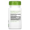 Nature's Way Eyebright Herb, 860 mg per Serving, 100 VCaps