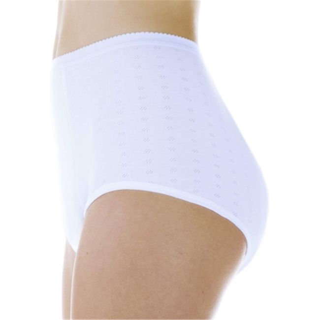  Wearever Womens Cotton Comfort Incontinence Panty For Bladder  Control