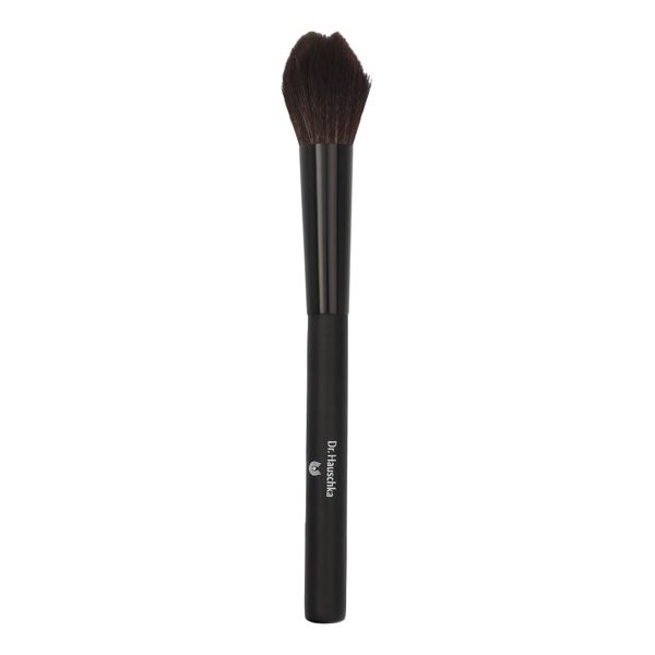 Dr. Hauschka Blusher Brush, Pack of 1