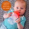 b.Box Boysenberry Weighted Straw Learning Cup (Light Purple) 6+ Months 1 Unit