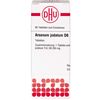 DHU Arsenum jodatum D6 Tabletten, 80 St. Tabletten