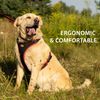 Ferplast Medium Size Dog Harness ERGOCOMFORT MEDIUM, Adjustable Dog Harness, Comfortable, Padded, Double Micro-adjustment Closure, Quick Release, Red