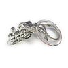 FizzyButton Gifts Steam Train keyring key ring and lobster clasp with silver tone charm