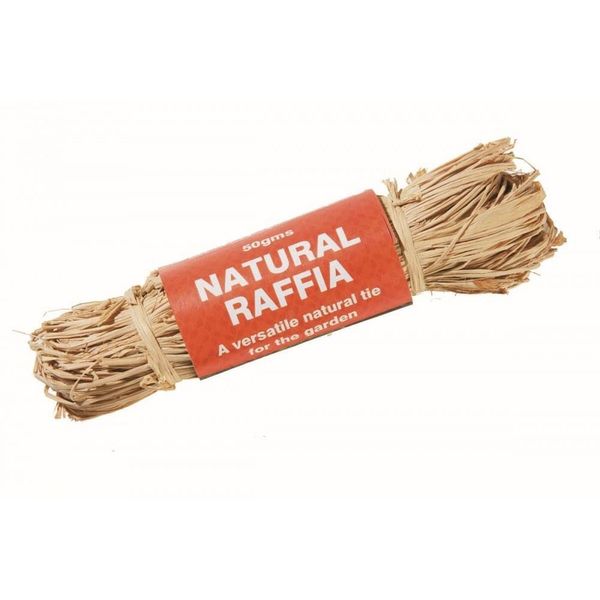Raffia - Natural - 50g W0574