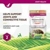 NaturVet Scoopables Glucosamine DS Plus Dog Supplements