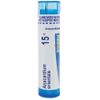 Boiron Anacardium orientale 15C for Indigestion from Overeating - 80 Pellets