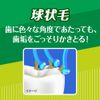 Clear Clean Tooth Face & Gap Plus, Compact, Normal, Set of 6 (*Color cannot be selected)