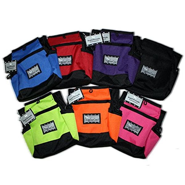 Rapid Reward Training Pouch in Orange