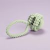 Peps Pet Toy Twisted Rope Green