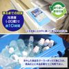 Iris Ohyama Cooler (Blue Ice) Hard CKB-350