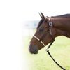 Professional's Choice Rawhide Wrapped, Double Rope Nose, Chocolate Roughout Halter