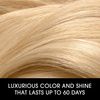 Clairol Nice‘n Easy Perfect 10 Permanent Hair Dye, 6.5A Lightest Cool Brown Hair Color, Pack of 1