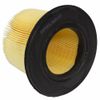 Air Filter  Motorcraft  FA1632