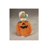 Zack & Zoey Pumpkin Pooch Costume, Medium Orange