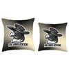 Plague Doctor Throw Pillow
