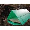 Agralan Pheromone Codling Moth Trap Refill Prevents Apples & Pairs Maggots
