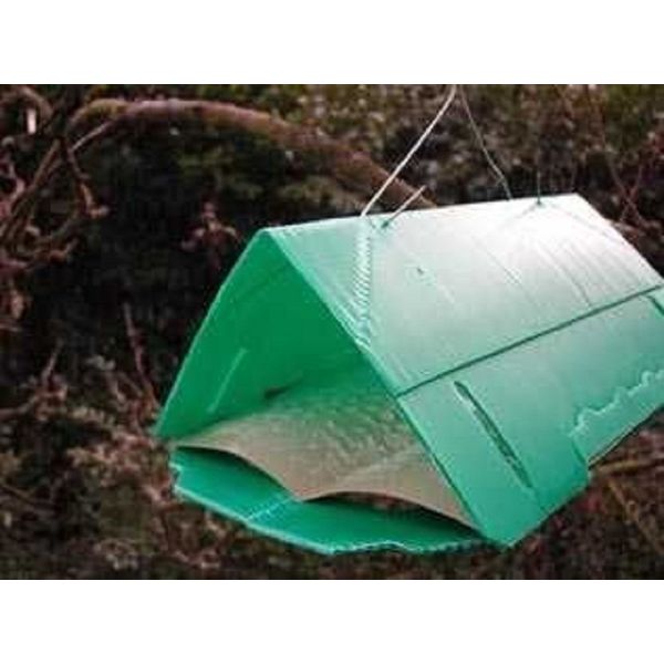 Agralan Pheromone Codling Moth Trap Refill Prevents Apples & Pairs Maggots