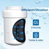 RWF0600A Refrigerator Water Filter Replacement for GE SmartWater MWFA,GWFA,2PACK