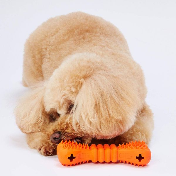 Petio Dog Toy TREATS LOVER Bone S