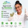 Clean Idea Ecofloss, (300 Picks), EcoFlosser Pick, Floss Picks for Adult and Kids Teeth, Teeth Flossers, Reusable Tooth Floss Picks, Floss Sticks,
