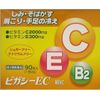 【第3類医薬品】ビガシーEC 90包 ×2