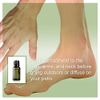 doTERRA - TerraShield Essential Oil Outdoor Blend - 15 mL