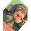 UK Greetings Birthday Card for Him/Her/Friend - Monkey Design