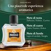 Proraso After Shave Balm WOOD & SPICE