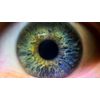 Canon Powershot SX50 HS 10x High Definition 2 Element Close-Up (Macro) Lens (...
