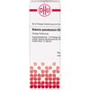 Robinia pseudacacia D3 DHU Dilution, 20 ml Lösung