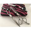 6”Professional Barber Razor Edge Titanium Coated Hair Cutting and Texturizing Shears Scissors Set+case Black
