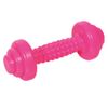 Mini-Hantel, pink (1 Stück) 0,5 kg
