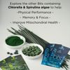 Energybits/Recoverybits - Organic Spirulina & Chlorella Tablets - Single Serving