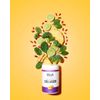 Bella All Natural Collagen Powder