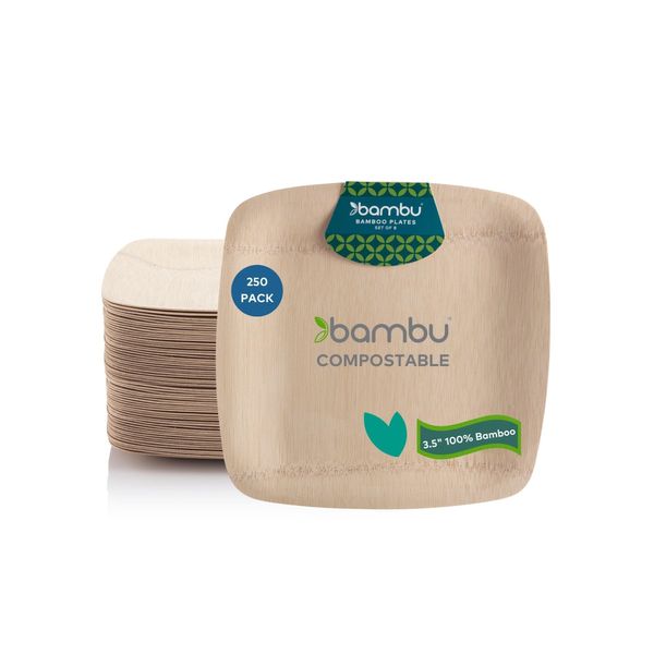 Bambu, 3.5 Inch Square Disposable Bamboo Plates, Organic Compostable Plates, Eco Friendly, Wooden Appetizer Plates, 100% Natural - Bulk 250 Pack