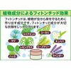 Pyreparaearth Insect Repellent with Floral Soap Scent, Stationary Type, Pack of 1